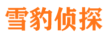 昌江市私家侦探